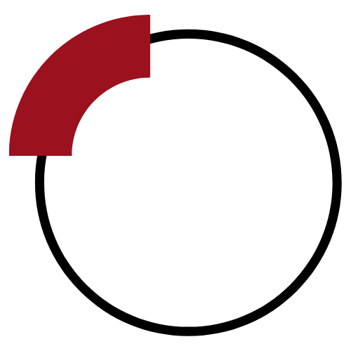Rubini Solutions logo